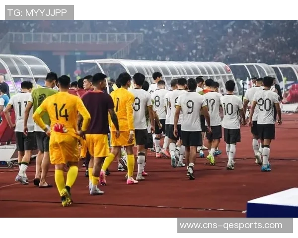 足球记者李璇深度解析中国足球现状与未来发展趋势